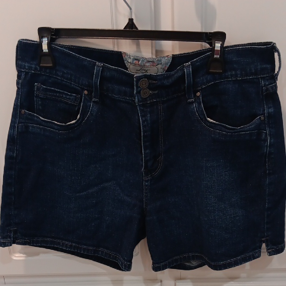 Blue Jean Shorts with Frayed Hem and Zipper Fly